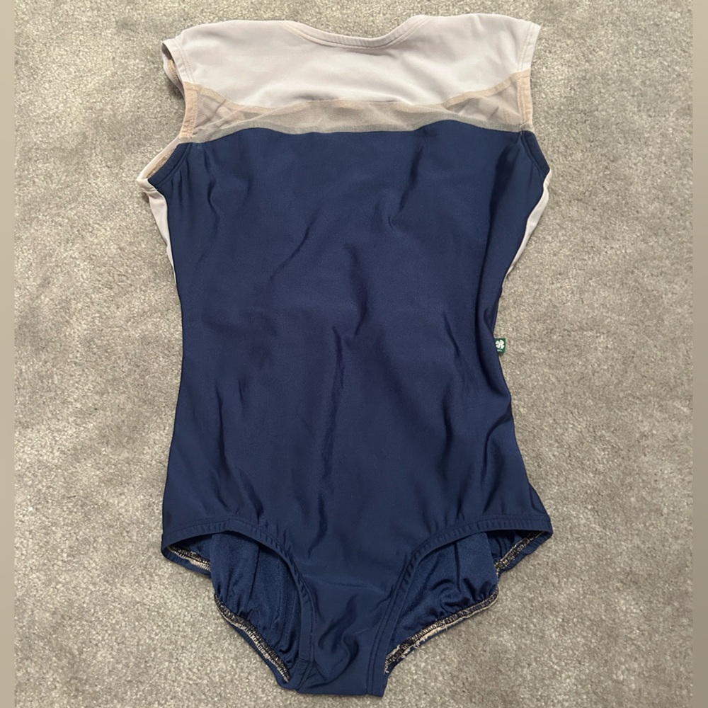 Very Flattering Blue and Pink ballet leotard